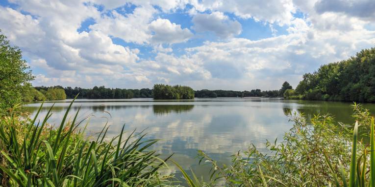 Uetze附近的Irenensee露营公园景观