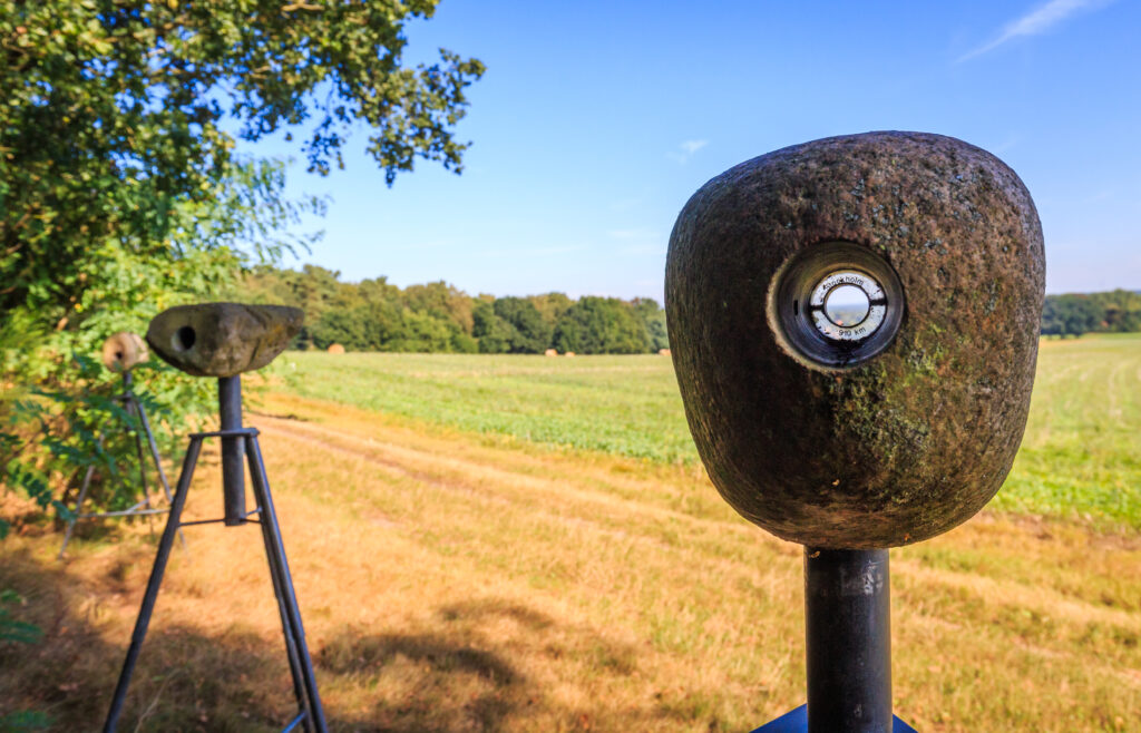 Findlinge stehen an einem Waldrand auf Stativen. In den großen Steinen sind Linsen eingebaut, durch die man in Landschaft blicken kann.