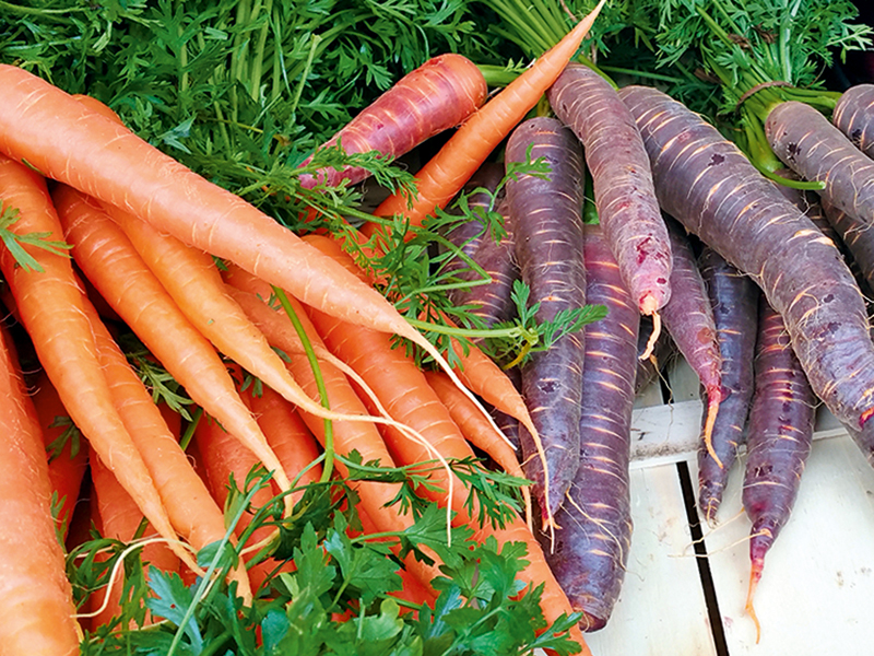 Bündelweise orangene und lilane Möhren mit viel Grün liegen auf einer weißen, hölzernen Transportkiste.