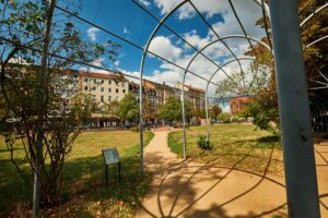Mitte Weissekreuzplatz
