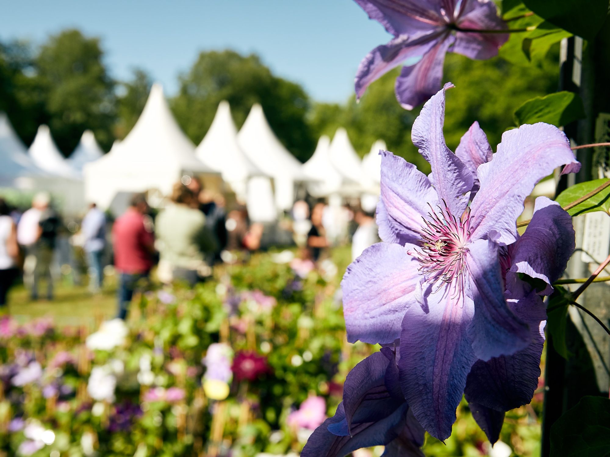 赫伦豪森花园节