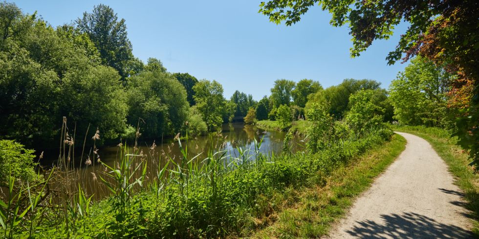Sonniger Radweg an einem Flussufer, umgeben von dichtem Grün und spiegelndem Wasser im Sommer.